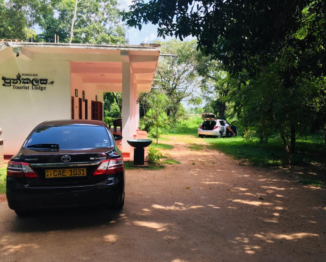 Punkalasa Tourist Lodge Anuradhapura Exteriör bild